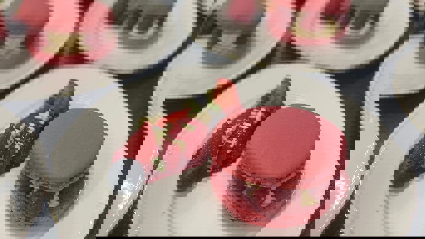 Untitled Design 2026 02 27T140359.740 (1)